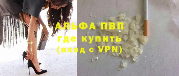 ешки Белокуриха
