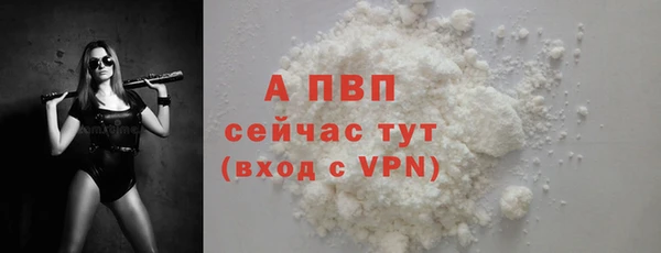 ешки Белокуриха