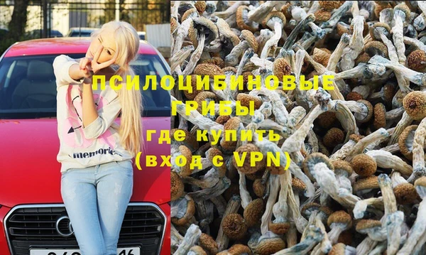 ешки Белокуриха