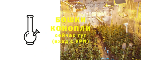 ешки Белокуриха