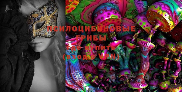ешки Белокуриха