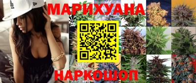 индика Малгобек