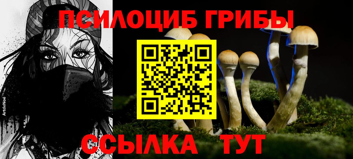 Воскресенск  Галлюциногенные грибы ЛСД  Вход с VPN 
