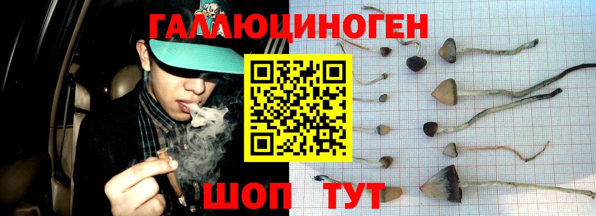 Псилоцибиновые грибы Psilocybine cubensis Воскресенск