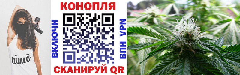 Бошки Шишки семена Воскресенск